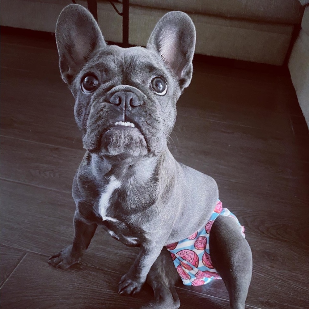 Meet your Posher, Natasha